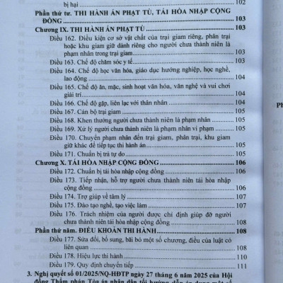 Sách Luật Tư Pháp Người Chưa Thành Niên 2025 – Hệ Thống Các Văn Bản Về Thủ Tục Tố Tụng Hình Sự Đối Với Người Chưa Thành Niên (V2640T)
