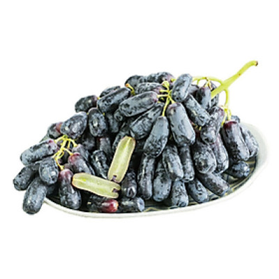 Nho Đen Ngón Tay Úc