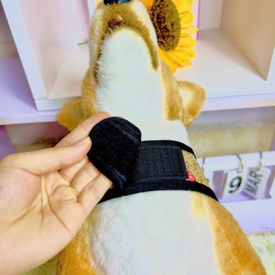 YẾM DÁN KÈM DÂY DẮT SIÊU SANG VÀ ĐẲNG CẤP DÀNH CHO CHÓ