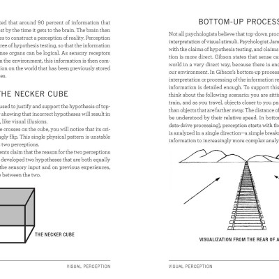 Sách Psych 101: Psychology facts, basics, statistics, tests, and more! (Adams 101)