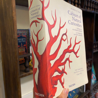 Sách - Cabinet of Natural Curiosities by Albertus Seba | Natural History - English Science Book