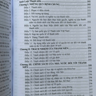 Sách Luật Mặt Trận Tổ Quốc Việt Nam, Luật Công Đoàn, Luật Thanh Niên Và Luật Thực Hiện Dân Chủ Ở Cơ Sở 2025 (V2617T)
