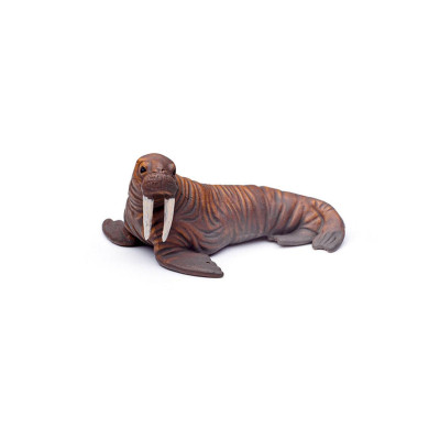 Đồ Chơi Mô Hình 12 Sinh Vật Biển CollectA -1 - CollectA A1107