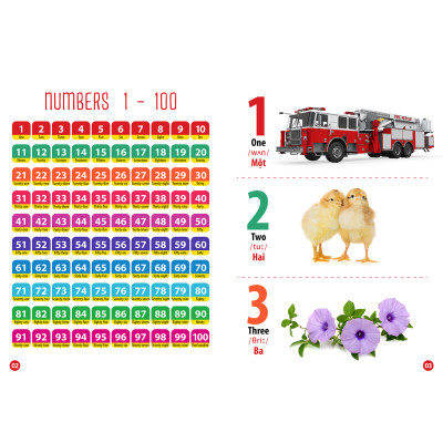 Từ Điển - Thư Viện Hình Ảnh Song Ngữ Đầu Tiên Của Bé - Loài chim - khủng Long - Chữ cái Và Số - Hoa Rau củ Quả ( bộ 4 cuốn )