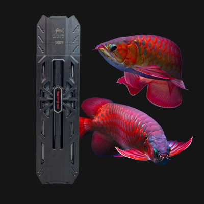 Máy sưởi bể cá Baoyu BY-S800 đa năng 600W-1500W, điều chỉnh nhiệt độ, chống nổ, hàng chính hãng