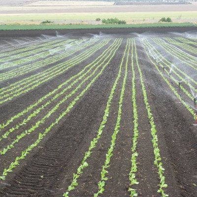 bộ 10 đầu phun meganet 360 độ lưu lượng 350l/h