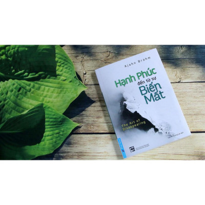 Sách - Combo Hạnh phúc đến từ sự biến mất + Thức tỉnh điều vô hình - FirstNews