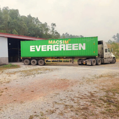 Thảm 2 lớp (sd3) dạng lưới lục giác MG G50 (ghi) bề mặt cao su siêu sạch nhãn hiệu Macsim