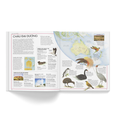 Combo 2 cuốn: Atlas động vật + Atlas các loài chim