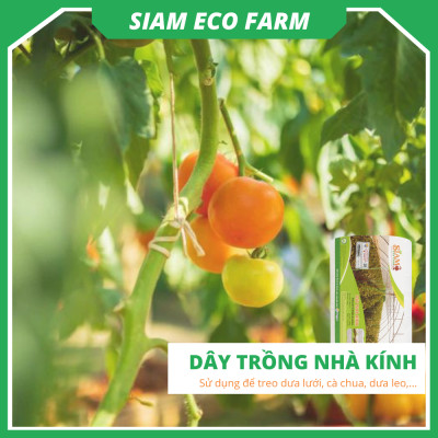 Dây treo dưa lưới, dây treo cà chua, sợi se nông nghiệp siêu bền