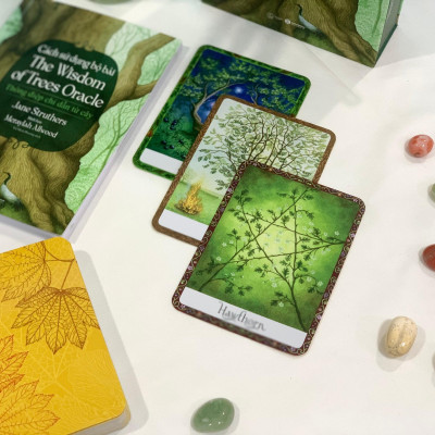 Cách sử dụng Bộ bài Wisdom of Trees Oracle - Bản Quyền