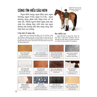 Bách Khoa Tri Thức Về Khám Phá Thế Giới Cho Trẻ Em - Horses And Ponies - Loài Ngựa