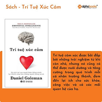 Trí Tuệ Xúc Cảm - Emotional Intelligence, Daniel Goleman (Sự tự ý thức, tính kỷ luật tự giác, sự đồng cảm...)