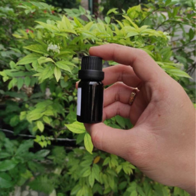 Chai Tinh Dầu Xông Phòng Hương Sả Chanh 10ml