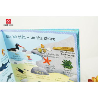 Sách - Cuốn Sách Từ Vựng Đầu Tiên Của Tôi - My First Word Book - Caroline Young - Đinh Tị Books