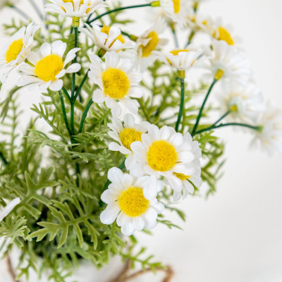 Chậu Cây Cúc Vàng LENA Với Bình Gốm Trang Trí Nhà Cửa | Index Living Mall | Nội Thất Nhập Khẩu Thái Lan - Phân Phối Độc Quyền Tại Việt Nam