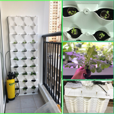 CHẬU TRỒNG RAU SẠCH TẠI NHÀ (1M2 DẠNG ĐỨNG) LÀ CHẬU NHỰA MODULE TRỒNG RAU ÁP TƯỜNG NHẬP KHẨU CHÂU ÂU BẢO HÀNH 5 NĂM (GỒM 8 MODULE LÀ 24 HỐC RAU)