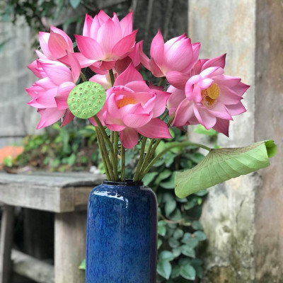 LỌ HOA DÁNG ỐNG TRỤ  to -gốm sứ bát tràng