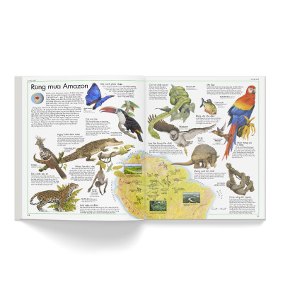 Combo 2 cuốn: Atlas động vật + Atlas các loài chim