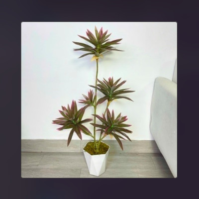 Bộ cây phát lộc giả 5 nhánh - Kích thước 80cm - Cây giả, hoa lụa Decor trang trí nhà cửa
