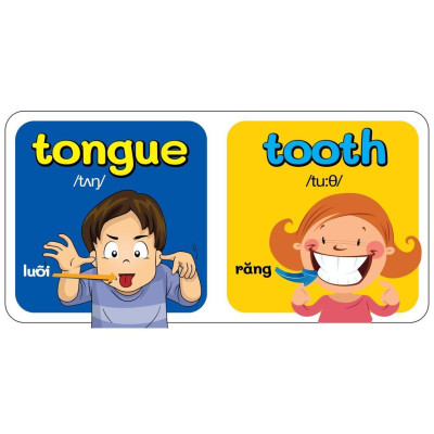 Sách - Boxset Hồng 9 Cuốn Từ Điển Bằng Hình Đầu Tiên Của Bé Từ 0-6 Tuổi - Song Ngữ Anh Việt - Việt Thư