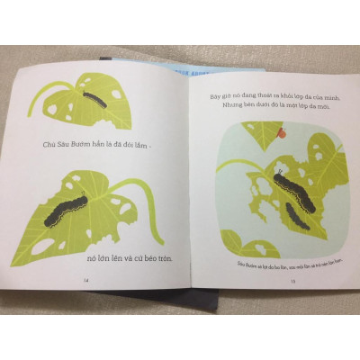 Câu chuyện Khoa học - Sâu Bướm và Hạt Đậu - A Science Storybook About Growing