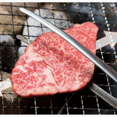 Kẹp gắp inox đầu nhỏ Echo 275mm - Hàng nội địa Nhật Bản nhập khẩu chính hãng