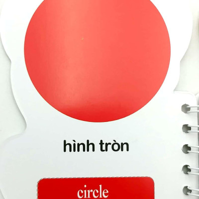 Học từ theo chủ đề: Màu sắc, hình dạng