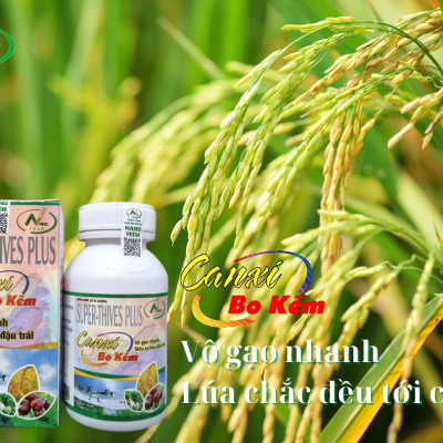 Bộ sản phẩm giúp LÚA TRỔ ĐỀU, CHỐNG LẸP XẸP hiệu quả và tiết kiệm chi phí