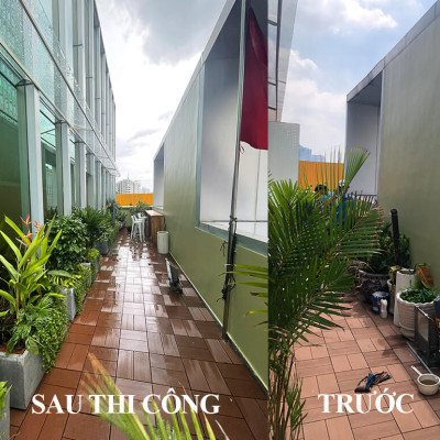 Chậu Đá Mài Cây Xanh Ban Công (Combo trọn gói) size lớn gồm Chậu, cây xanh, đất trồng và phân bón với thời gian bảo hành 2 tháng