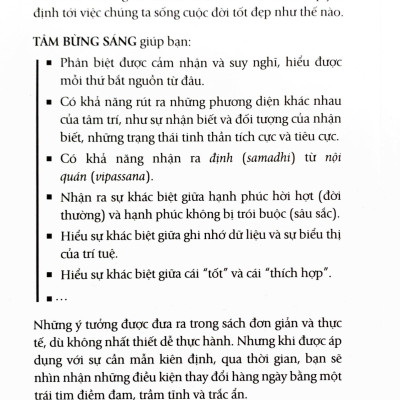 Tâm Bừng Sáng - The Brightened Mind - Hướng Dẫn Đơn Giản Về Thiền Phật Giáo