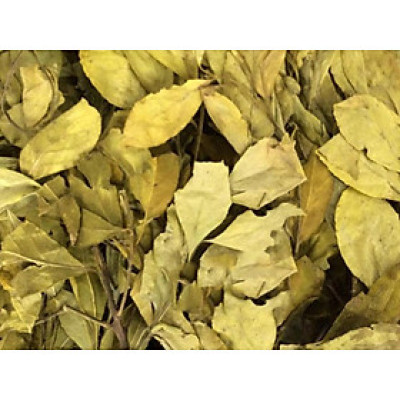 cây chè dung phơi khô 1 kg