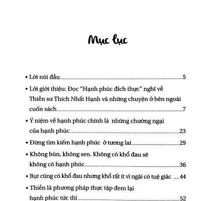Trò Chuyện Với Thiền Sư Thích Nhất Hạnh - Hạnh Phúc Đích Thực (Tái Bản)