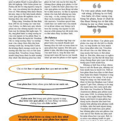 Sách - Sinh Học - Khái Lược Những Tư Tưởng Lớn - Bìa Cứng