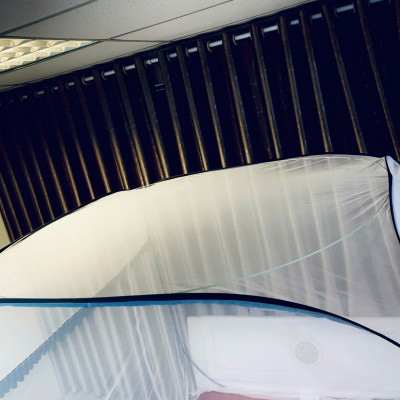 Màn bung đỉnh vuông Royal