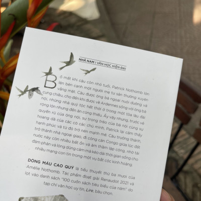 DÒNG MÁU CAO QUÝ –Amélie Nothomb – Nguyễn Thị Tươi dịch - Nhã Nam - NXB Thông Tấn