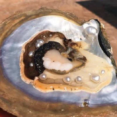 Lắc tay ngọc trai thật, dành cho bạn gái văn phòng, Thiết kế tinh xảo, Kiểu dáng đơn giản , Kèm bản Photo chứng thư kiểm định tại SJC