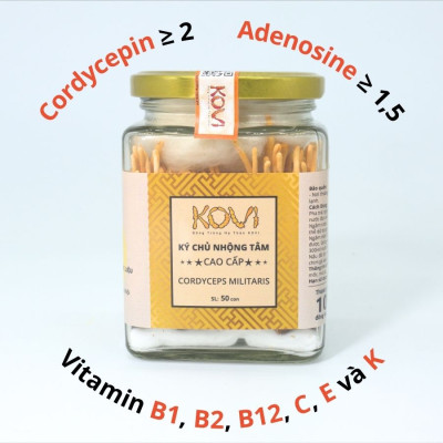 Đông trùng hạ thảo KOVI ký chủ nhộng tằm nguyên con cao cấp | 50 con | Đẹp đẳng cấp sang trọng