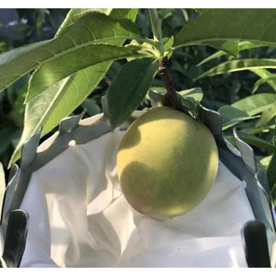 Dụng Cụ Hái Trái Cây Trên Cao Kèm Túi Vải Size Lớn 16Cm