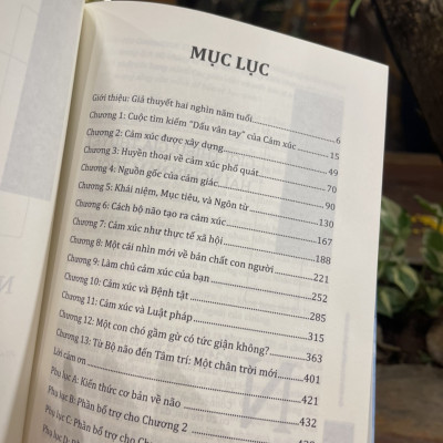 (Tủ sách Hiểu Thực Tại) Bộ tứ Ma trận truyền thông: Nguồn gốc cảm xúc - Bí ẩn sống động của bộ não – Lisa Feldman Barrett - Phương Mạnh dịch – Lyceum – Nxb Dân Trí 