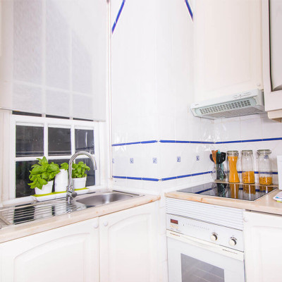 Chậu trồng rau sạch tự động tưới nước và tự chăm sóc rau tại nhà trong 2 tháng Minigarden Basic S (1 bộ gồm 2 chậu S, 1 khay hứng nước, 1 bình chứa nước và phân)