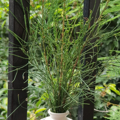 Combo 3  Bình Cắm Hoa Mini Trơn Gốm Sứ Bát Tràng (màu ngẫu nhiên)