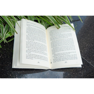 Sách - Lớn Lên Trên Đảo Vắng - Johann David Wyss - Đinh Tị Books