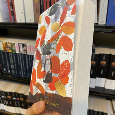 Sách - Anne of Green Gables & Anne of Avonlea by L. M. Montgomery - (Wordsworth Classics)