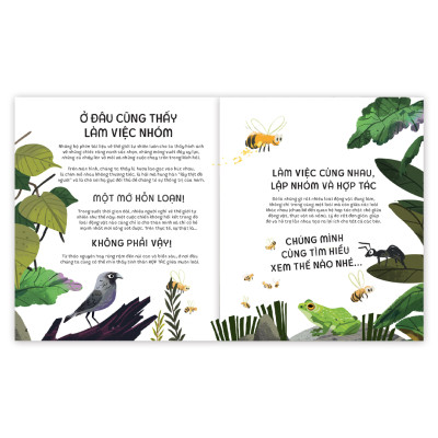 Sách - Teamwork Làm Việc Nhóm - Bài học từ Vương quốc động vật - Dành cho trẻ từ 3 tuổi