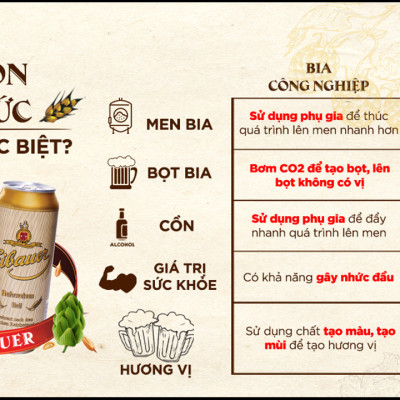 [SINCE 1810] Hộp Quà Tết - Thùng Đức Thầy Tu Eibauer Vàng 5.2 Độ - Lên Men Tự Nhiên, Nhập Khẩu Chính Hãng