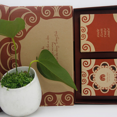 HỘP NẤM LINH CHI AN BÌNH