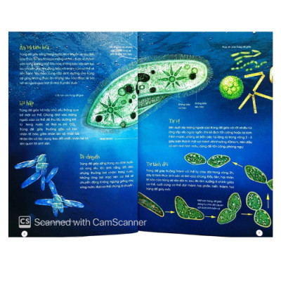 Động Vật Kỳ Quặc (HH)