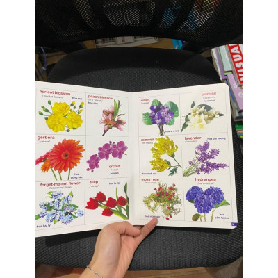 Combo Bách Khoa Bằng Hình Đầu Tiên Cho Bé Theo Chủ Đề - Song ngữ Anh Việt - Quét mã QR nghe đọc