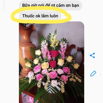 Shop Hoa Bảo Quản Hoa Cắm Lẵng, Hoa Cắm Xốp lâu tàn và hạn chế thay hoa định kỳ bằng Bột Dinh Dưỡng Hoa nhập khẩu Israel hiệu Longlife SG Của Israel (Thùng 5KG Bột Dưỡng Hoa Israel)